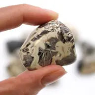 Tumble Stones - Jasper - Silverleaf